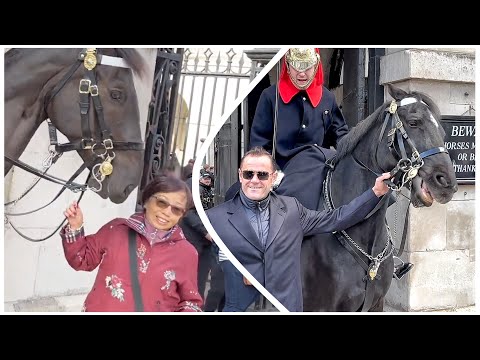 Top 10 Moments King's Guard “SCREAMS” at Rude Tourists!