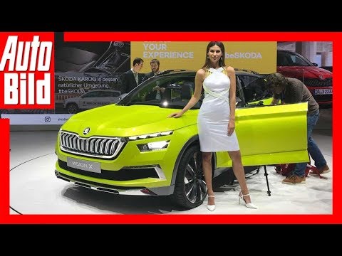 Hostessen (Genf 2018) Die Schönheiten aus Genf