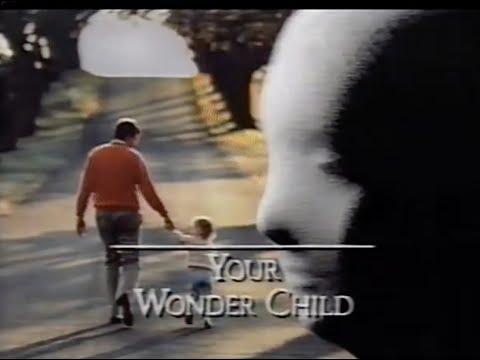 John Bradshaw Homecoming - #9 Your Wonder Child