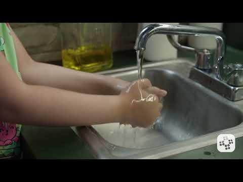 First Aid for Spider Bites, Tick Bites, and Scorpion Stings