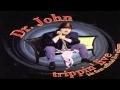 Wild Honey-Dr.John