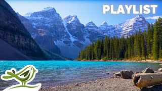 1 Hour of Peaceful Instrumental Music 🌳 Birds, Piano & Guitar for Relaxation, Focus, Study or Work