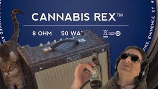 Video thumbnail for Is the Fender  Blues Junior IV FSR the Best 15-watt Combo Amp on Earth? by Jim Deecken