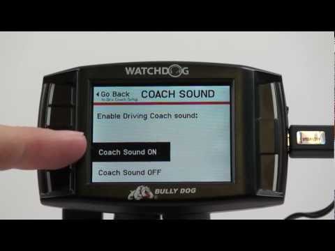 Bully Dog Driving Coach: Setup