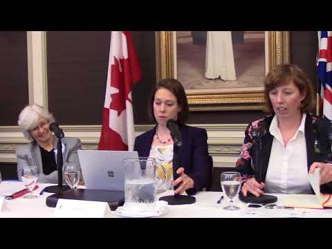 2018 RCMI / WIIS-C Conference April 24: Panel 3