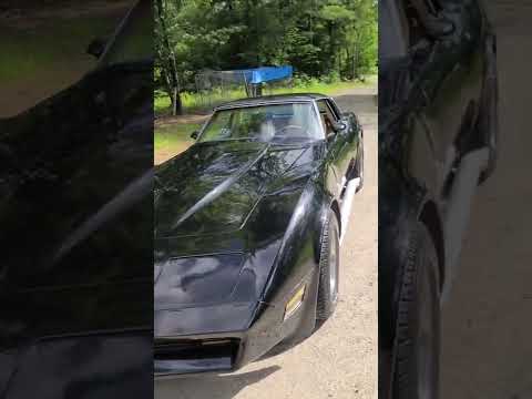 1980 Corvette Doug's Headers & Sidepipes with Classic Chambered Exhaust "Vettepacks" Inserts