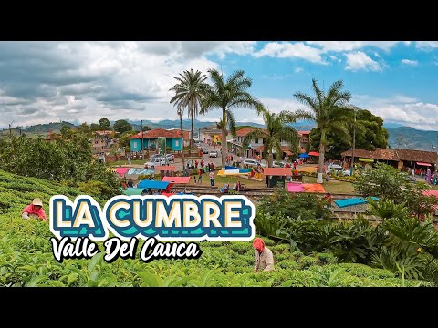 La Cumbre | The Municipality that Was Born With The Train 🚂 and Where Colombia's Only Tea Is Grow...