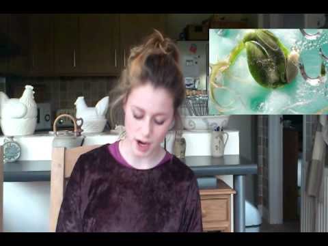 AS Biology Video - CJNO NEWS