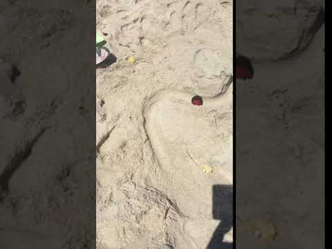 Ball Run on Beach: Spiral