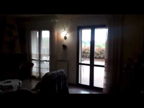 WhatsApp Video 2021 04 06 at 18 11 11