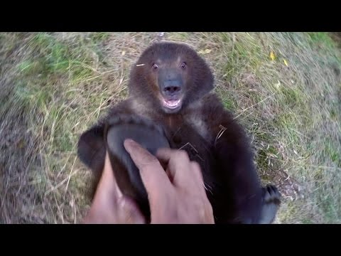 GoPro: Man and Grizzly Bear - Adventures with Bella