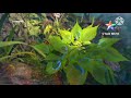 Nee Preethiyo Nee Premavo Radha Krishna Female Voice Kannada Version