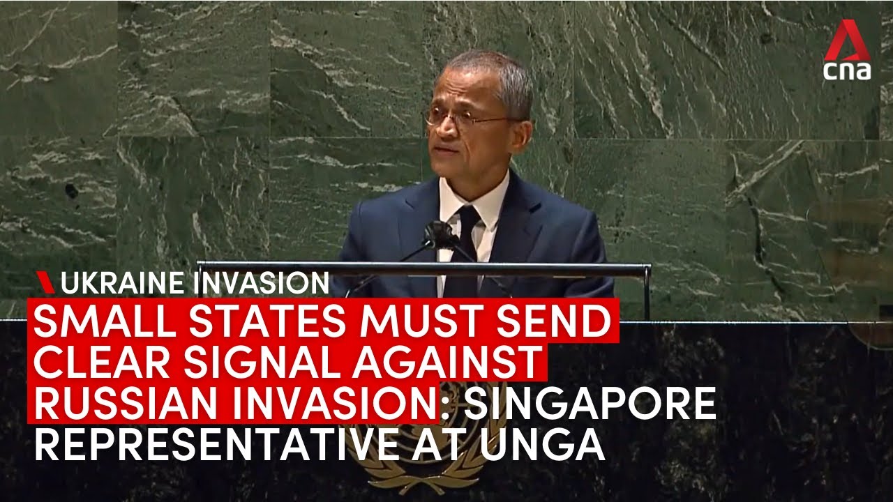 Small states must send clear signal against Russian invasion of Ukraine: Singapore UN representative