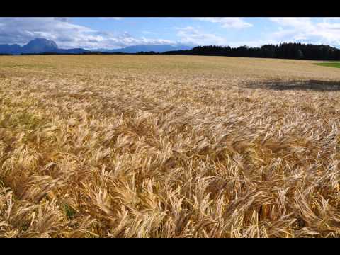 Heast as net wia de Zeit vergeht   Roitham