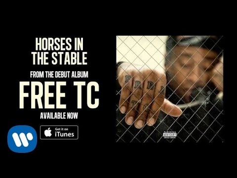 Ty Dolla $ign - Horses In The Stable [Audio]