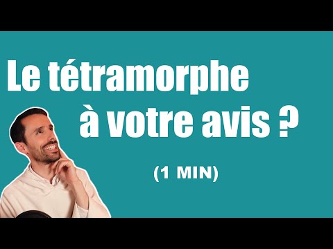 Le tétramorphe (les 4 vivants de l'apocalypse)