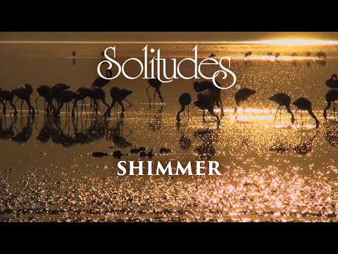 Dan Gibson’s Solitudes - Water Ballet | Shimmer