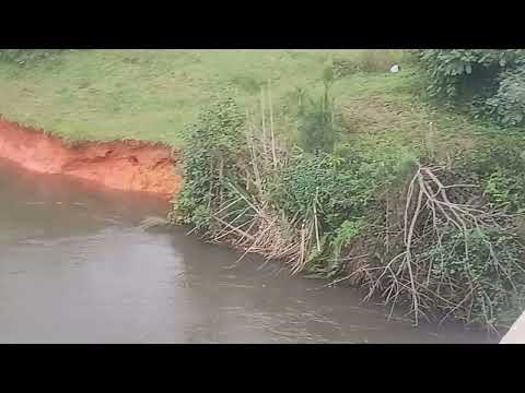 Com rio cheio vem muita sujeira rio Iguaçu balsa nova Paraná divisa com a cidade da Lapa 