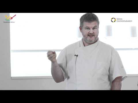 Föredrag av Mathias Dahlgren