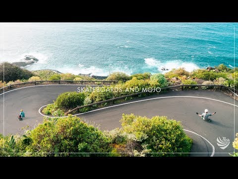 Skateboards & Mojo | Paris Truck Co.