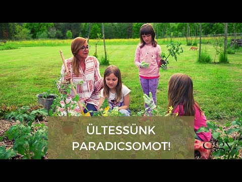 Gyerekjáték Borbás Marcsi kertjében - Ültessünk a gyerkőcökkel