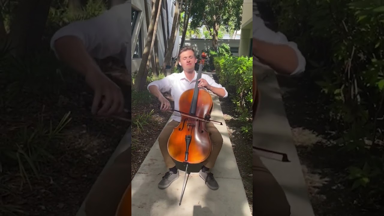Promotional video thumbnail 1 for Solo Cello Music