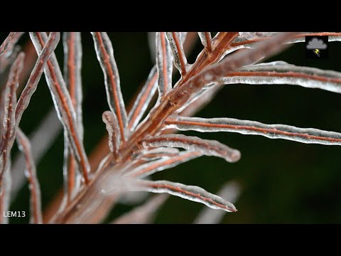 Michigan Ice Storm Pictures February 2023