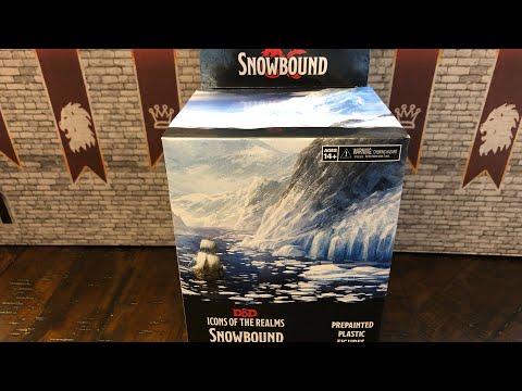 D&D Snowbound Miniatures Unboxing