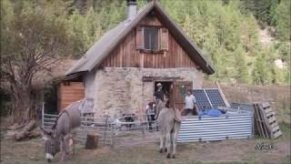 Hugues Aufray  Le petit âne gris