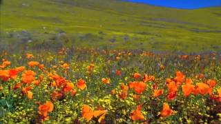 Fairytale - Enya - HD