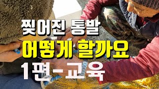 찌져진통발 1편 - 짜집기 교육