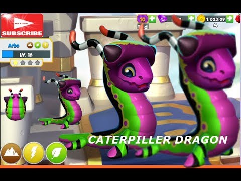 Caterpiller Dragon |Boss Challenge | Winter finale complete| HATCHING CATERPILLER DRAGON