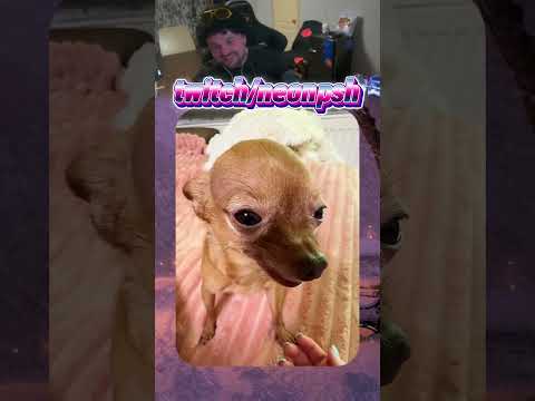 twitch.tv/neonpsh - розыгрыши и турниры каждый месяц!