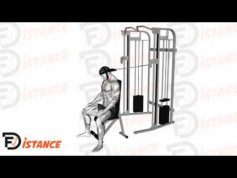 Exercice Flexion du cou assis à la poulie avec harnais