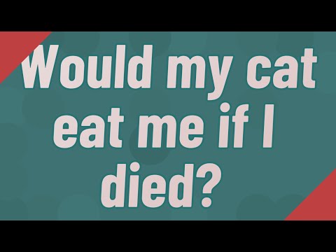Would my cat eat me if I died?