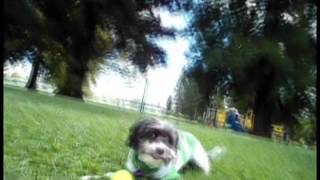 a fine spring morning