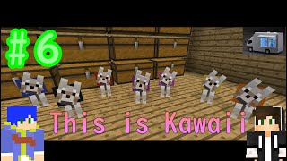 【Minecraft】みんなでレルム！！第6回