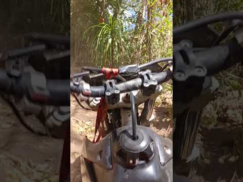 Trilha raizera Tamarana Paraná 