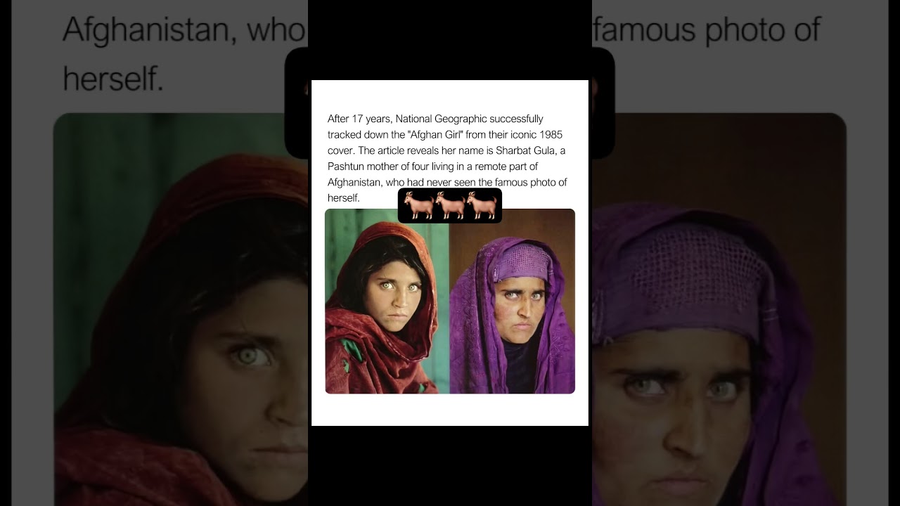 After 17 years National Geographic successfully tracked down the Afgan girl from there famous cover