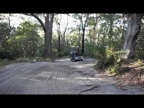 Fraser Island - Inland Tracks mit Baumwurzeln