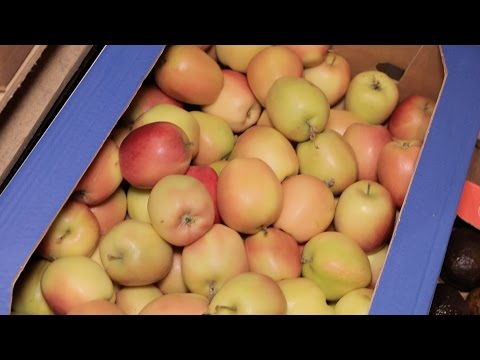 På besök i råvaruhimlen del 3 - Äpplen hos Grönsakshallen Sorunda