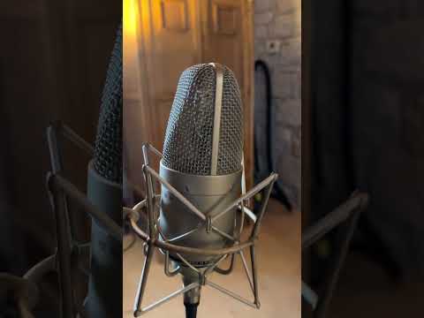 Neumann M 149 Large Diaphragm Multipattern Tube Condenser Microphone 1999 - Present - Nickel image 19