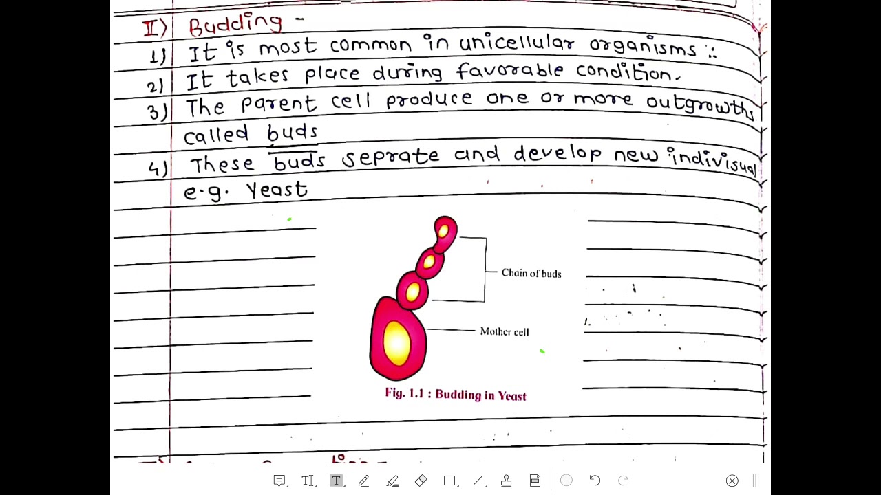 Watch video Reproduction in lower and higher plants. Lecture 1 12th biology. Prof. R. G. Shinagare Now Reproduction in lower and higher plants. Lecture 1 12th biology. Prof. R. G. Shinagare