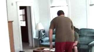 The Brightwings - Cribs