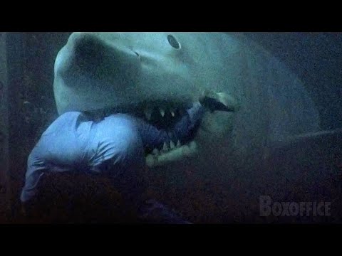 Shark attacks one last time | Jaws 3-D | CLIP