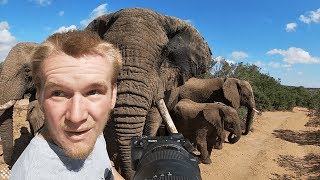 Photographer captures incredible encounter with a herd of elephants.