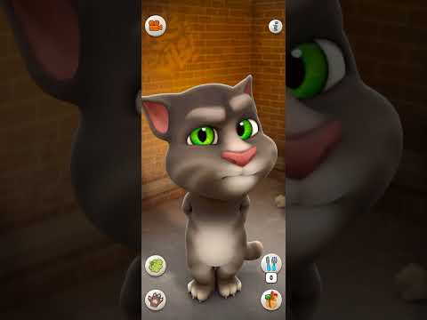 Talking Tom Cat Part 13776 #Shorts