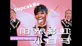 大张伟(Wowkie Zhang) - 阳光彩虹小白马 (cupcakKe Remix)
