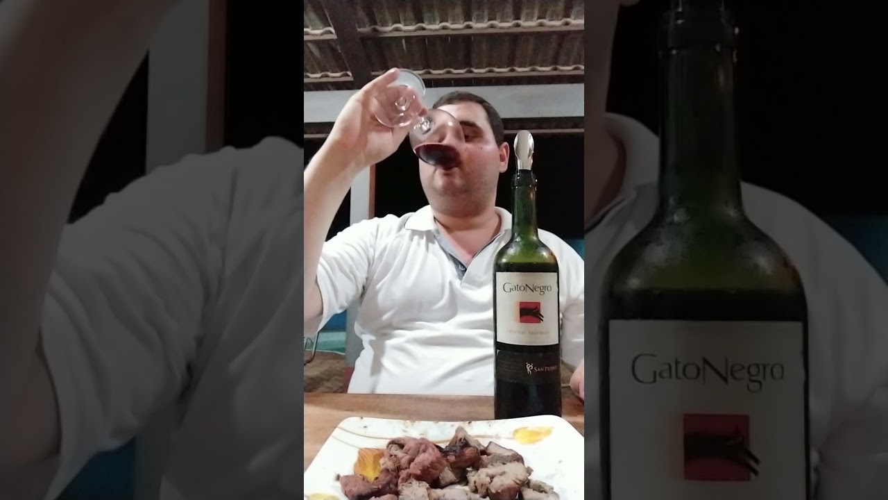 Degustando um Gato Negro Cabernet Sauvignon!
