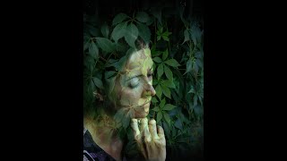 Alison Krauss &amp; The Chieftains - Molly Bán (Bawn)